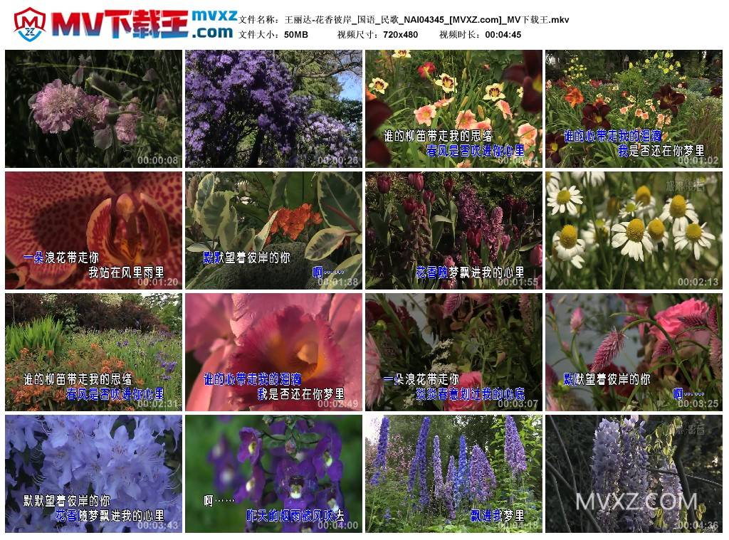 王丽达-花香彼岸_国语_民歌_NAI04345